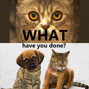 WHAT-have-you-done?