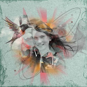 NBK_hummingbird