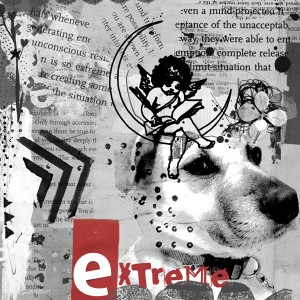 RJefferies_extreme