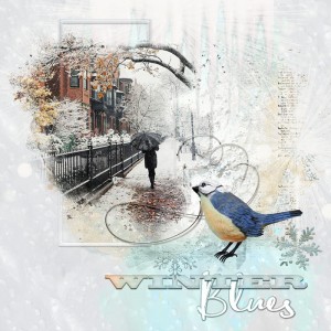 Winter Blues