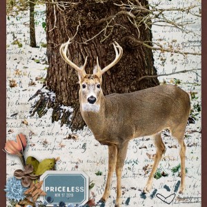Rachel-Jefferies_2019-12_December_NEW_1206_BYOC_Some-Bunny_Deer_web