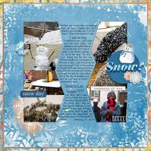 2019-Feb-Snow-copy
