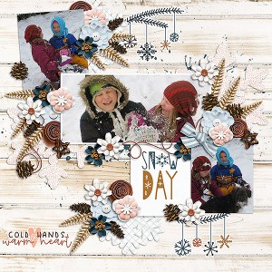 Snow Day