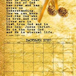 December 2020 Calendar