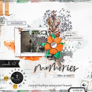 Snapshots