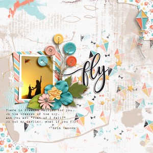 Fly