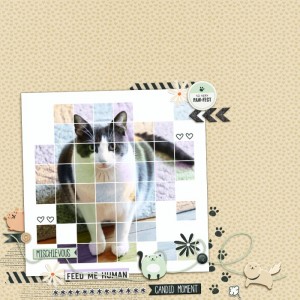 MOC8-5-Pawfect
