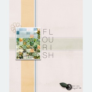 MOC8 - Day 5 - Flourish