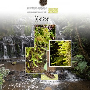 Mosses