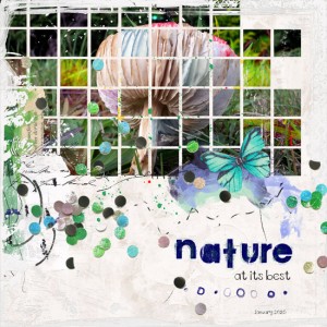 Nature at its best