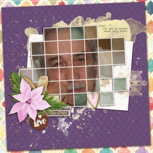 Jan 5 - Grid Photo