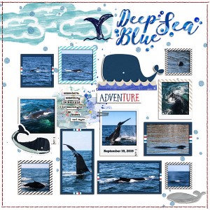 2019 Sept Whale Watch