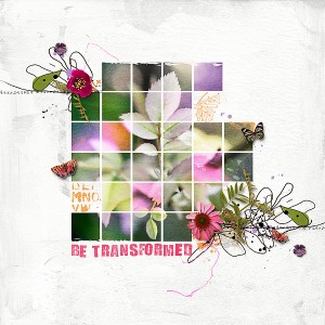 Day 5 - Be Transformed