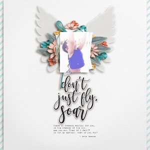 Fly
