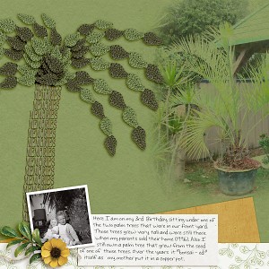 MOC8_Build-Your-Own-Tree_PalmTree