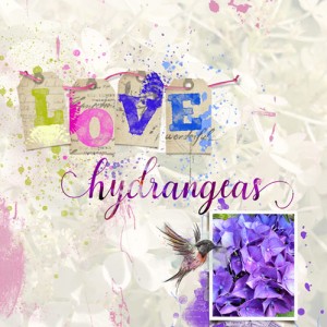 MOC8_10_4-Tags_LOVE_Hydrangeas