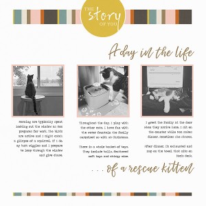 Day 7 -The Story Of You
