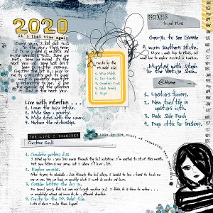 Day 11 - 2020 Goals