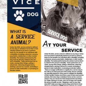 Service Dogs