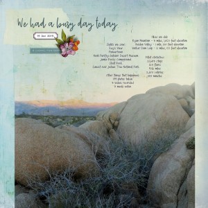 Joshua Tree Day 2 Statistics