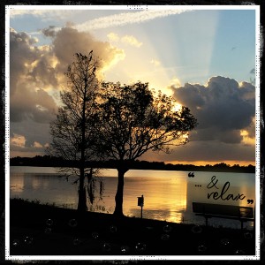 January 14: Photography Technique Silhouette