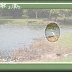 January 15: Vellum Over Photo - ATC-2020-006-Great-Egret