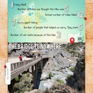 The-Bridge-to-Nowhere
