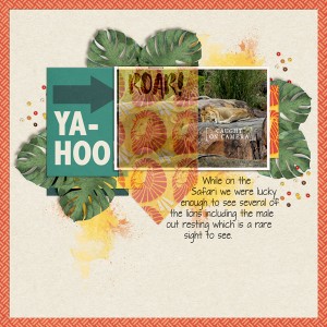 MOC 8 - January 15 - Vellum Over Photo
