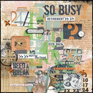 2020-Retirement-Not-for-the-Timid---So-Busy