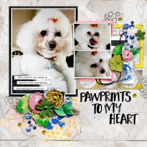 Pawprints To My Heart
