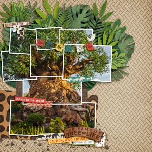 MOC 8-8 The Tree of Life
