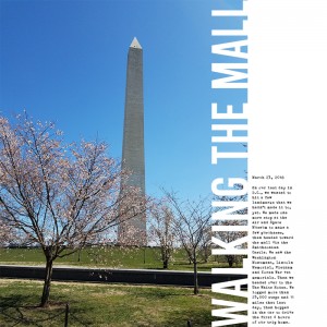 Walking the Mall