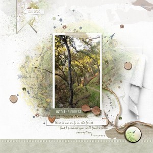 Into The Forest