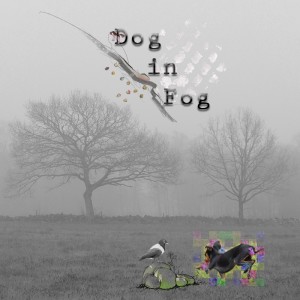January 5 - Grid Photo - Dog in Fog