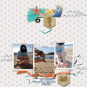 MOC8-19-crabby-cutupbkgrd-700px