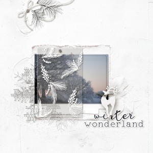 Winter Wonderland