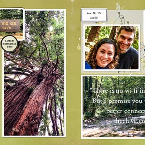 2020 MOC Day16 - Inspiration from Quote - Big Sur