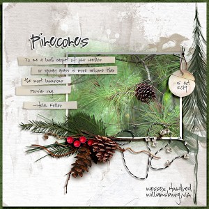 Pinecones (MOC8 Day 21 organic botanicals)