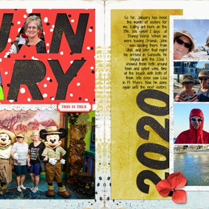 January Visitors