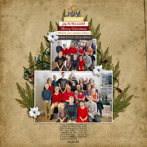MOC8 Day 8: Berkan Family Christmas