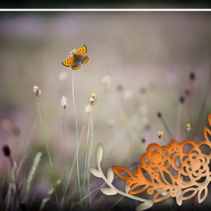 MOC-30_The-Butterfly