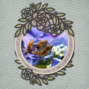 Lavender's Blue