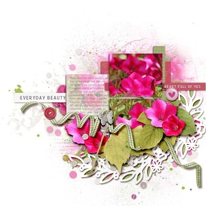 Everyday Beauty