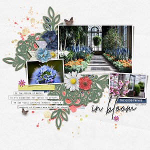Day 30 - In Bloom