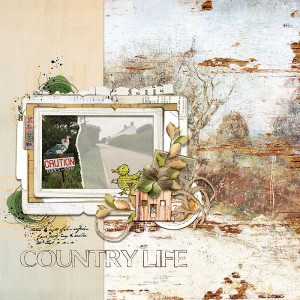 Country Life - MOC #15