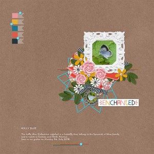 Frutselke_MOC8_18_HollyBlue