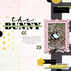 MOC8_DAY04.SIMPLE LT_The Bunny