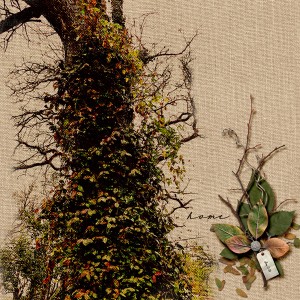 MOC8_DAY21.BOTANICALS_Natural Beauty