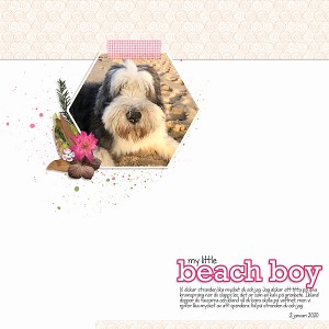 Moc 8 day 21 Beach boy