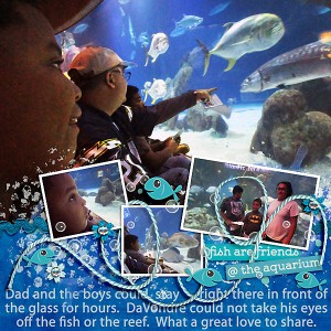 01202018-aquarium-glass-copy